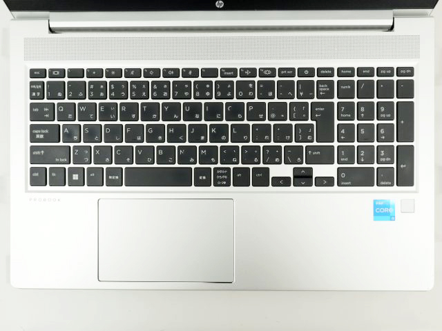 HP PROBOOK 450 G10 